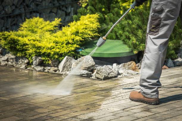 Best Animal Enclosure Cleaning  in Campbell, MO